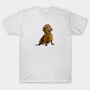 Brown Dachshund - Just the Dog T-Shirt